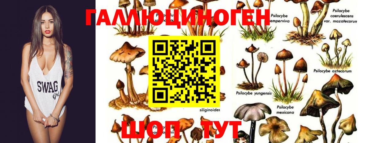 Евпатория  Галлюциногенные грибы мицелий  Вход с VPN 